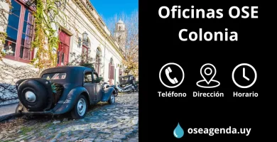 oficina ose colonia