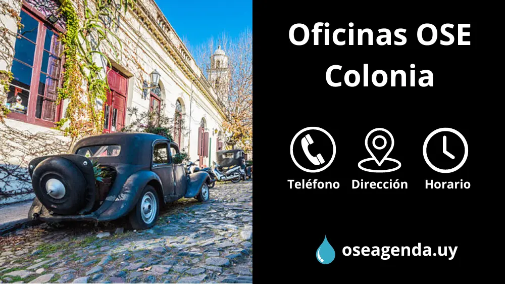 oficina ose colonia