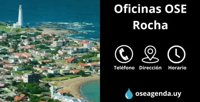 oficina ose rocha