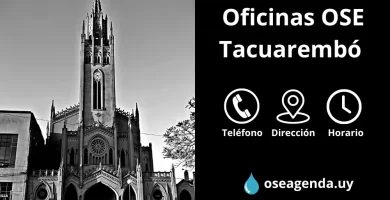 oficina ose tacuarembó